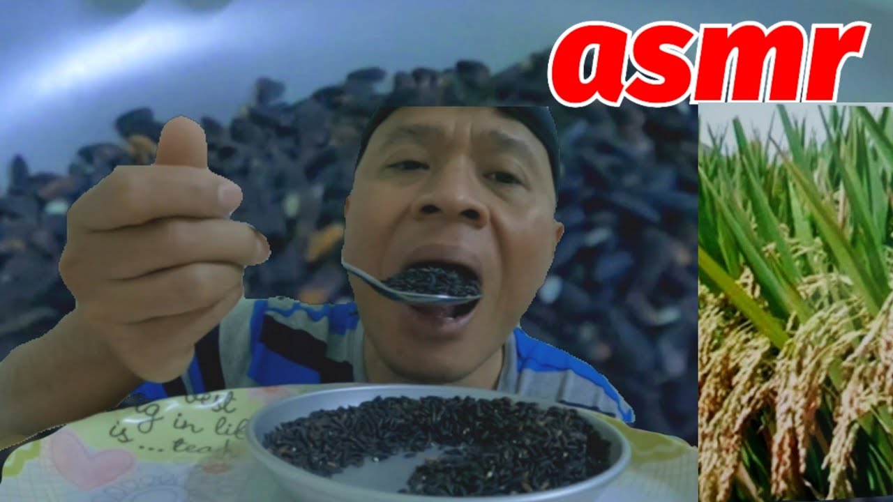 Asmr Eating Raw Glutinous Rice🌾 || makan Beras mentah Jenis Ketan