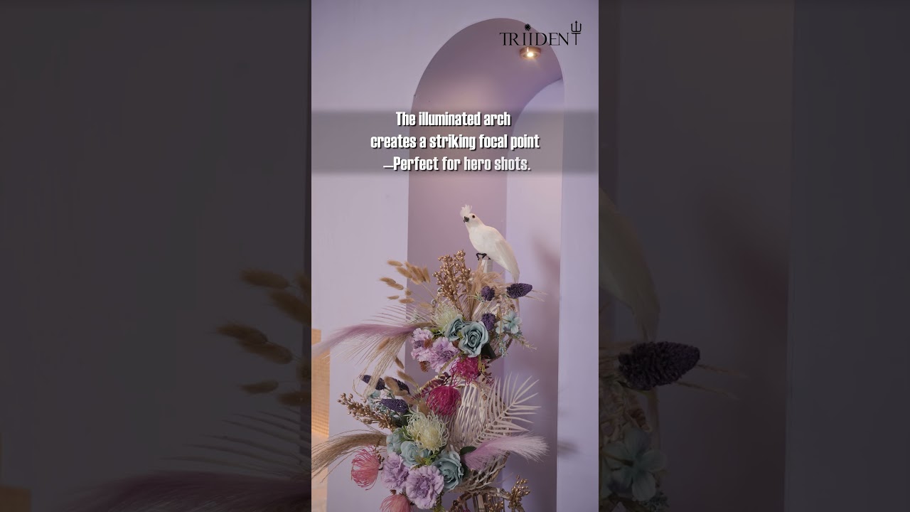 Lilac Love Set for Fashion Brands | Aesthetic Fashion Shoot Studio | Triident Studio  