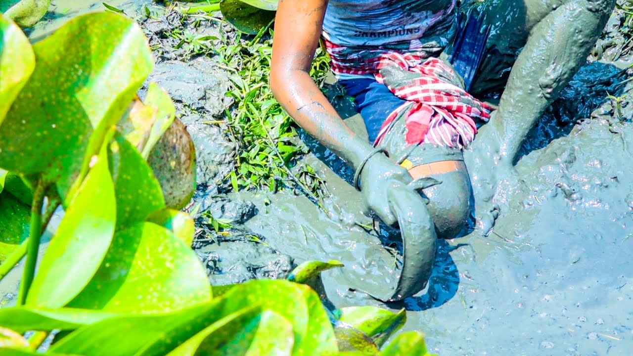 Village Style Mud Fishing | Best hand fishing video |