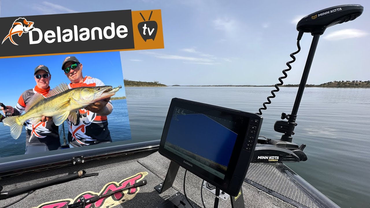 SharpShooting / Livescope 🎣 Pêcher des poissons en LIVE  ! Pêche au Portugal avec un guide de Pêche.