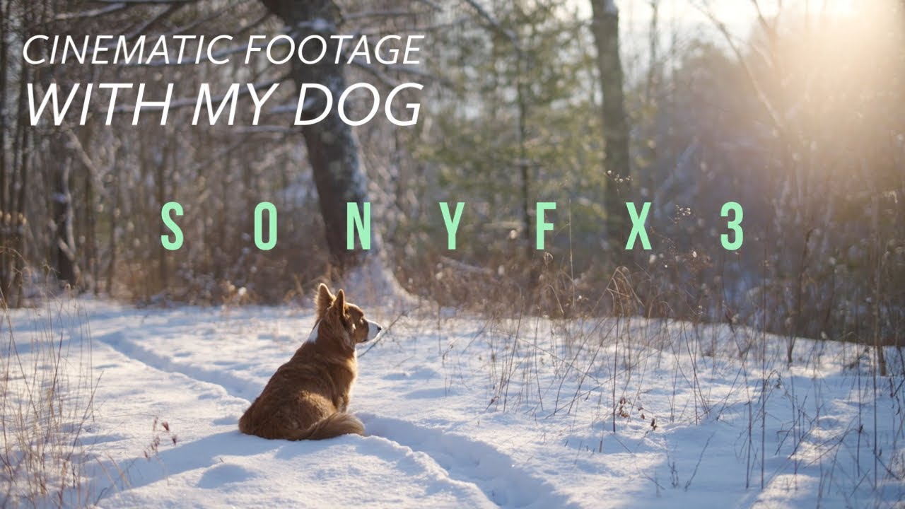 Snow Day Sequence and Sony FX3 and Xeen CF 50mm