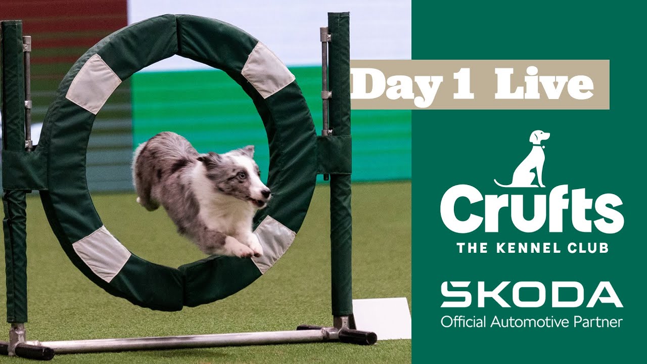 Day 1 LIVE | Crufts 2025