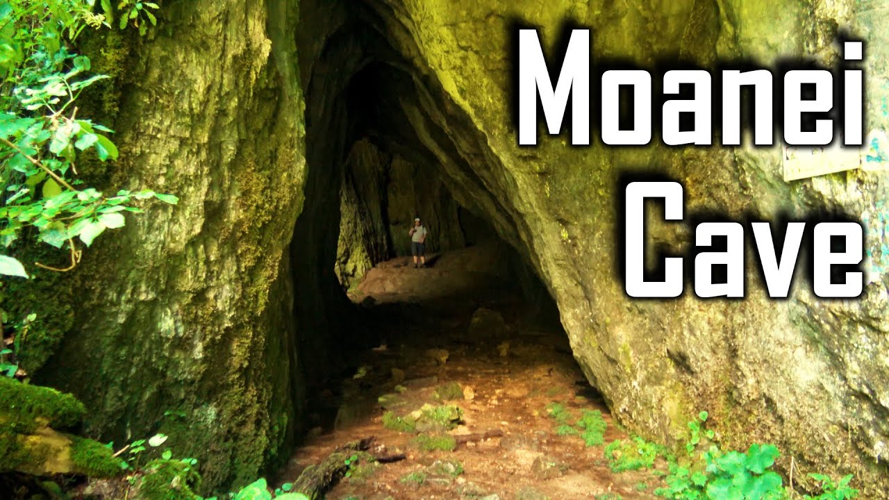 Moanei Cave (Pestera Moanei), in Padurea Craiului Mountains, Bihor County