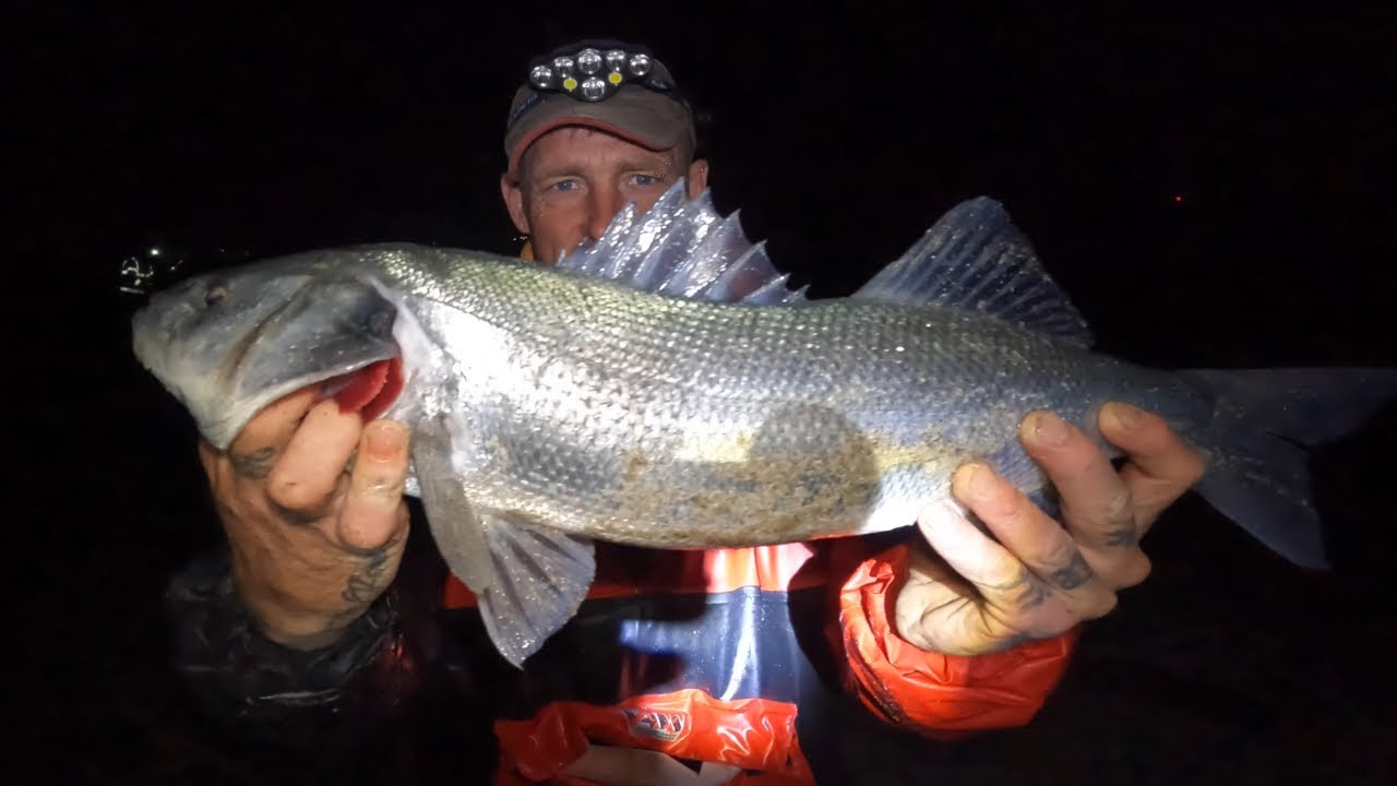 The Best Shore Fishing Trip Ever! - BIG Bass, Gilthead Bream! - Float Fishing For Garfish!