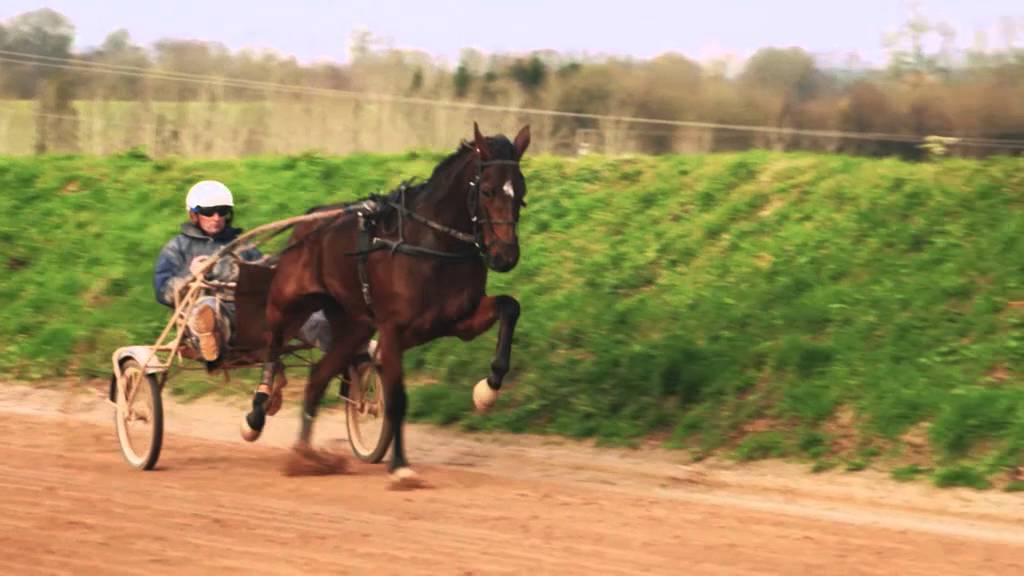 Europachampion Sebastien Guarato