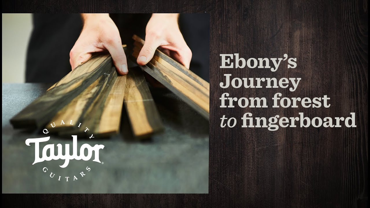 Ebony's Journey: From Forest to Fingerboard