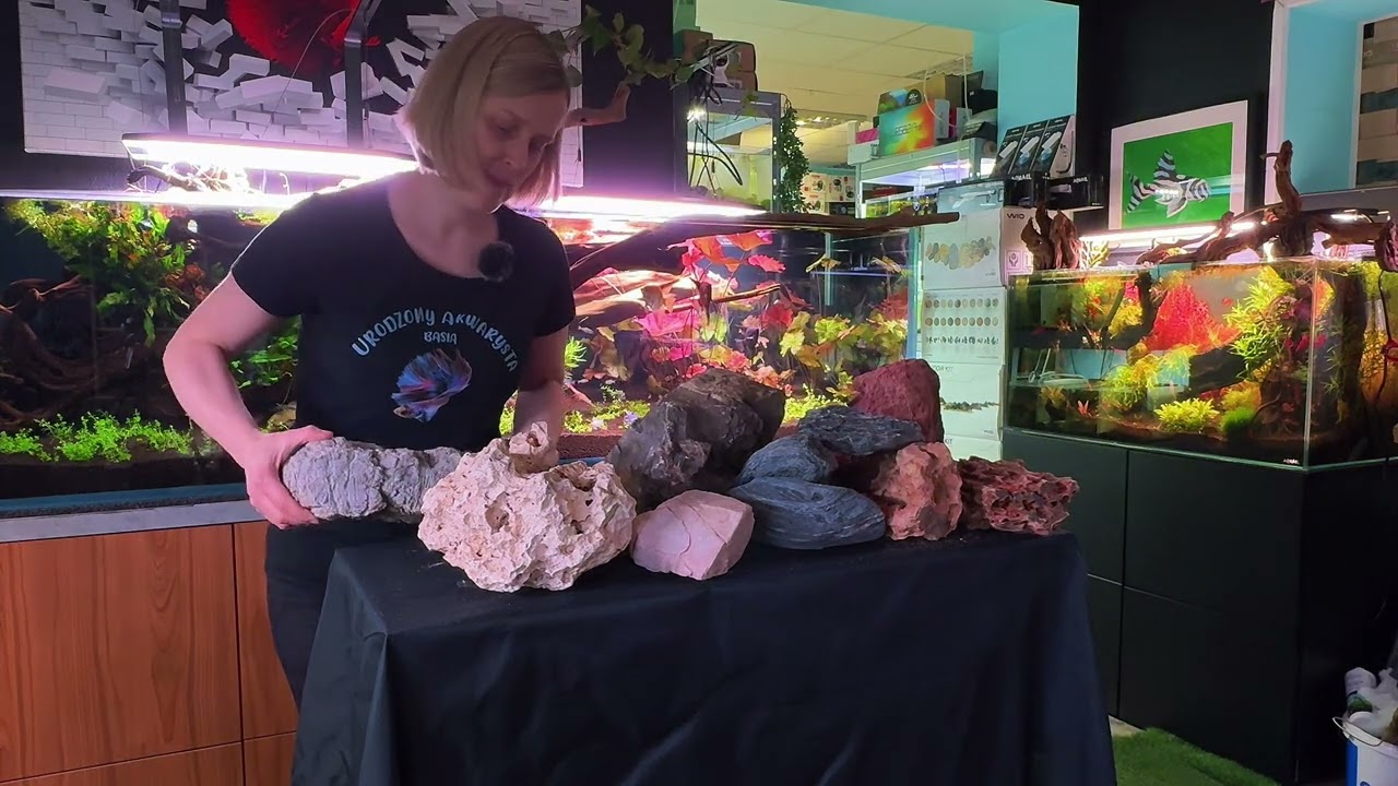 Jakie kamienie są bezpieczne do akwarium? 🪨❌🐠 Przewodnik dla akwarystów