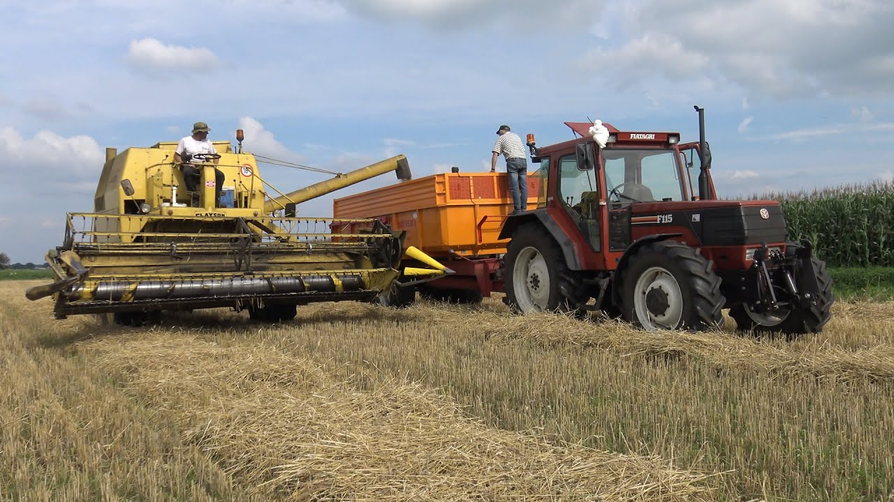 Tarwe oogst met New Holland Clayson M140 Armada & Fiatagri F115 (2015)