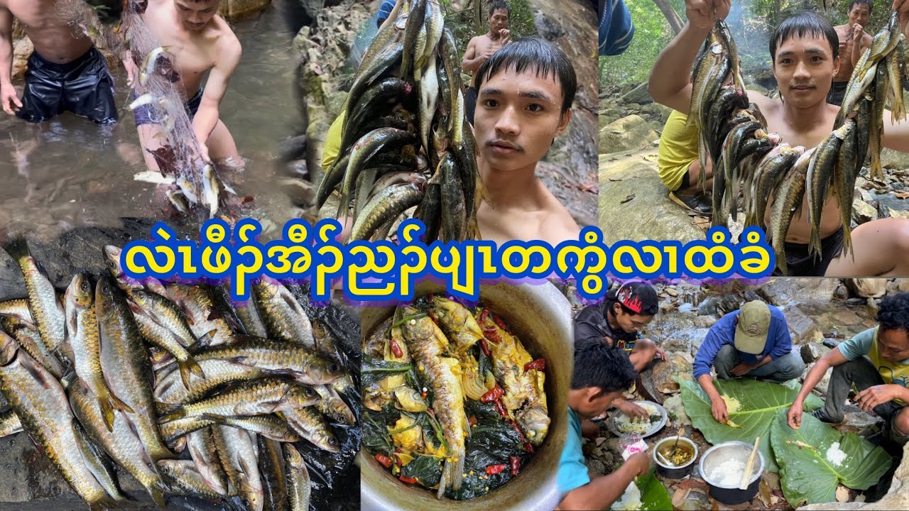 16/2/26/EP-2 လဲၤဖီၣ်အီၣ်ညၣ်ပျၤလၢထံခံကွံပူၤ