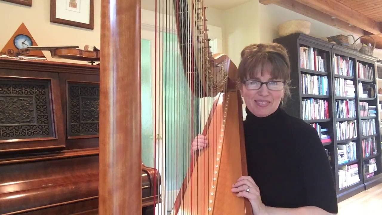 Bewitched (from Pal Joey) harp cover