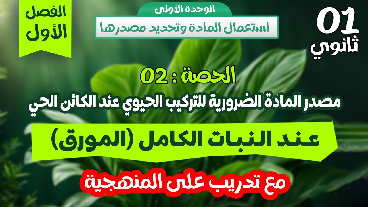 أولى ثانوي🎯الحصة 2: مصدر المادة عند النبات الكامل شرح مفصل مع تدريب على المنهجية💪