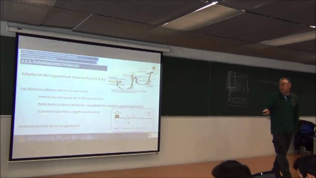 LECCIÓN 002 LA PERIODIZACIÓN DEL ENTRENAMIENTO DEPORTIVO SESIÓN 4 Corte 2 (umh1617 2014-15)