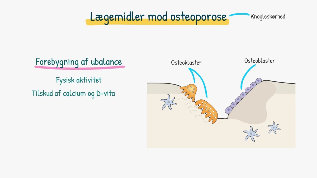 Lægemidler mod osteoporose