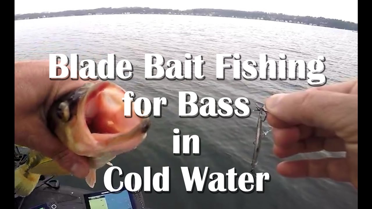 BLADE BAIT Fishing for Bass in Cold Water