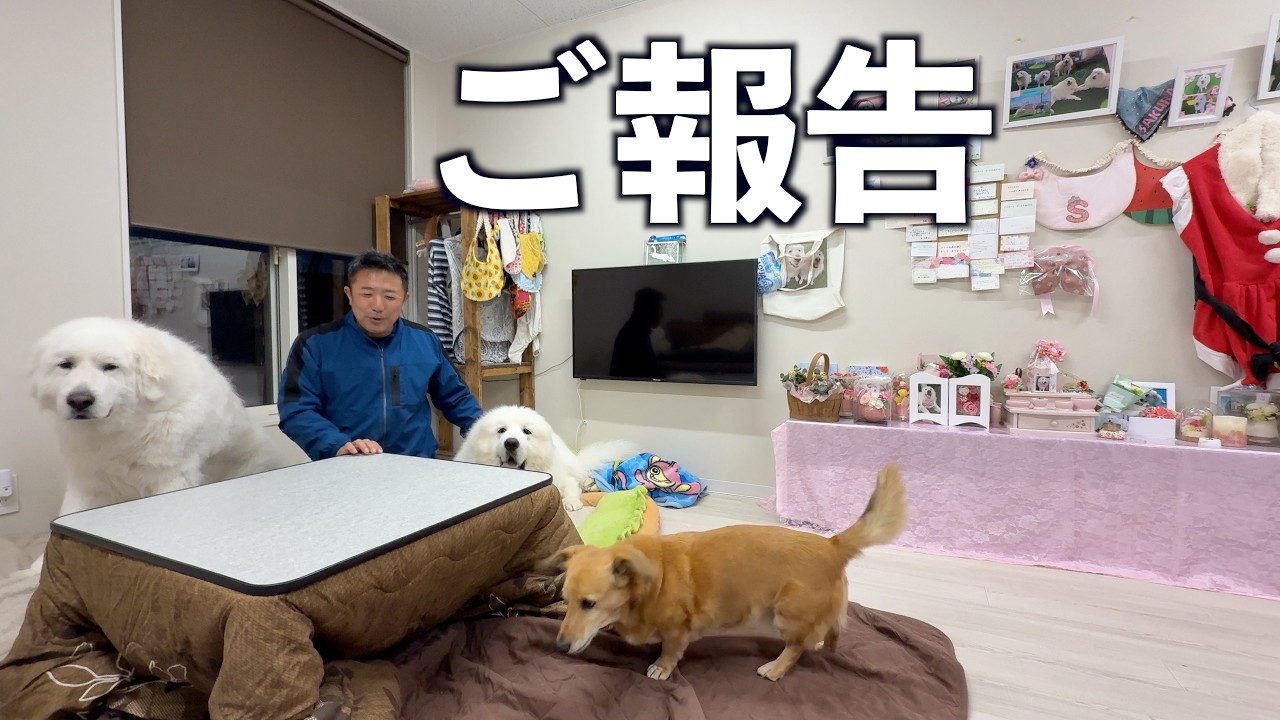 皆様にご報告させていただきます