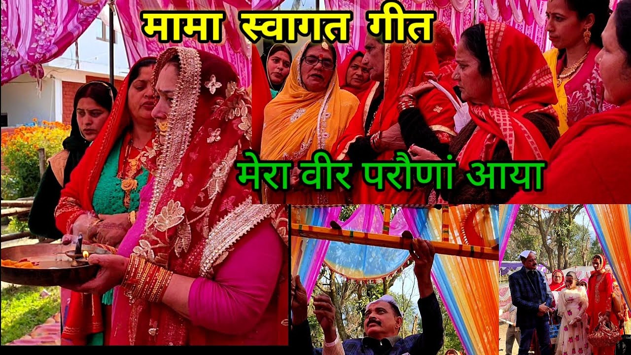 हिमाचली शादी में मामा स्वागत गीत☺ बदौआ॥ मिलजुल नी सहेलियों मेरा वीर परौणा आया॥
