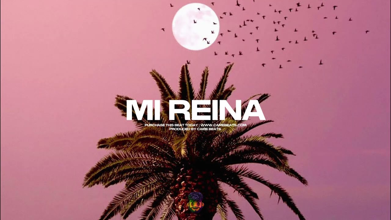 MI REINA | BEELE Type Beat 2025 | Instrumental Afrobeat