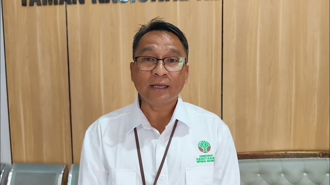 SUNGAI PENUH BERADA DI JANTUNG TAMAN NASIONAL KERINCI SEBLAT 