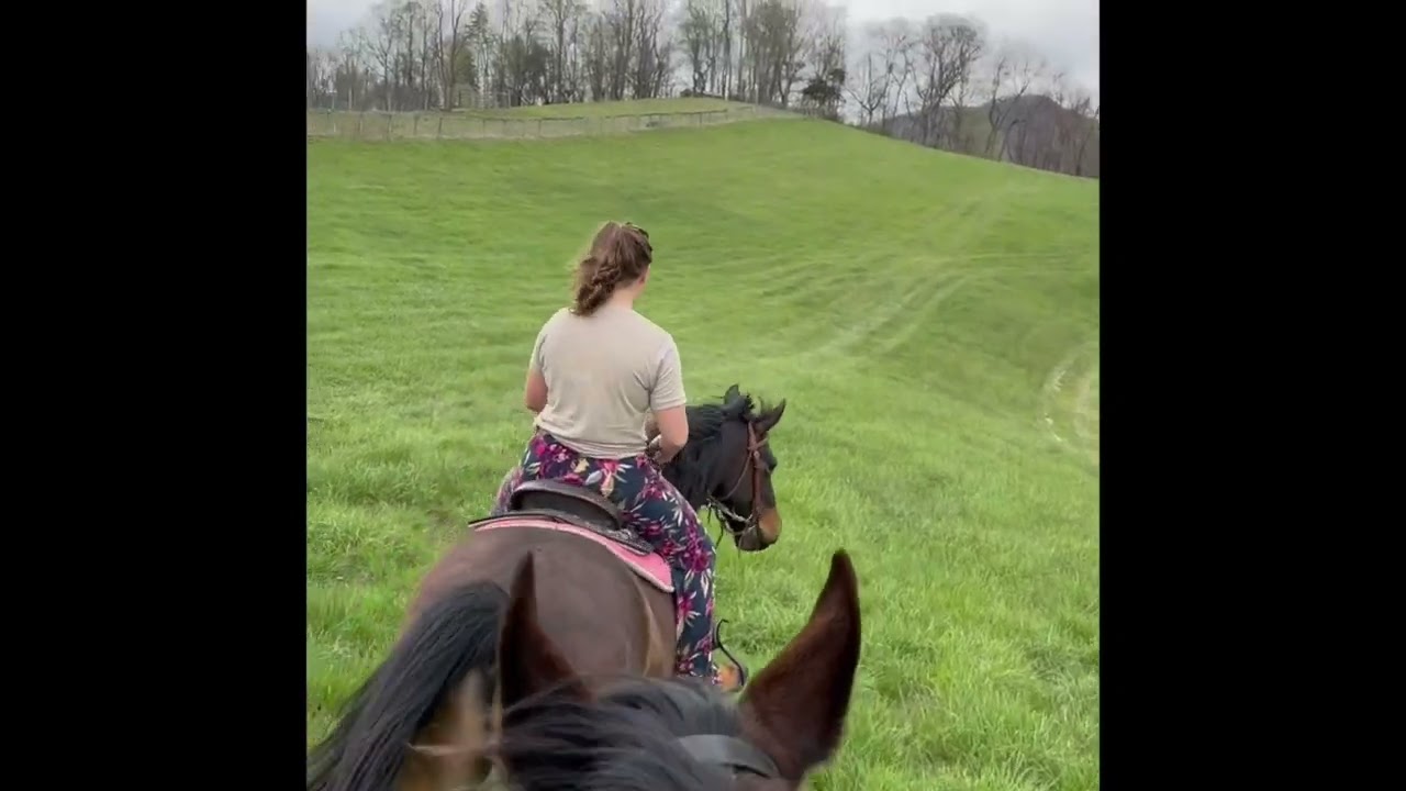 Horse Tourism Assessment