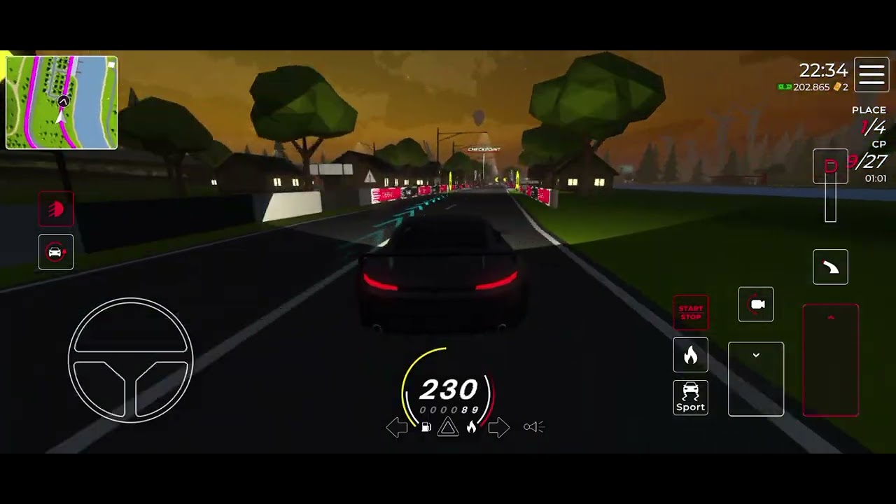 Rate my Race 1-10 -Cars LP