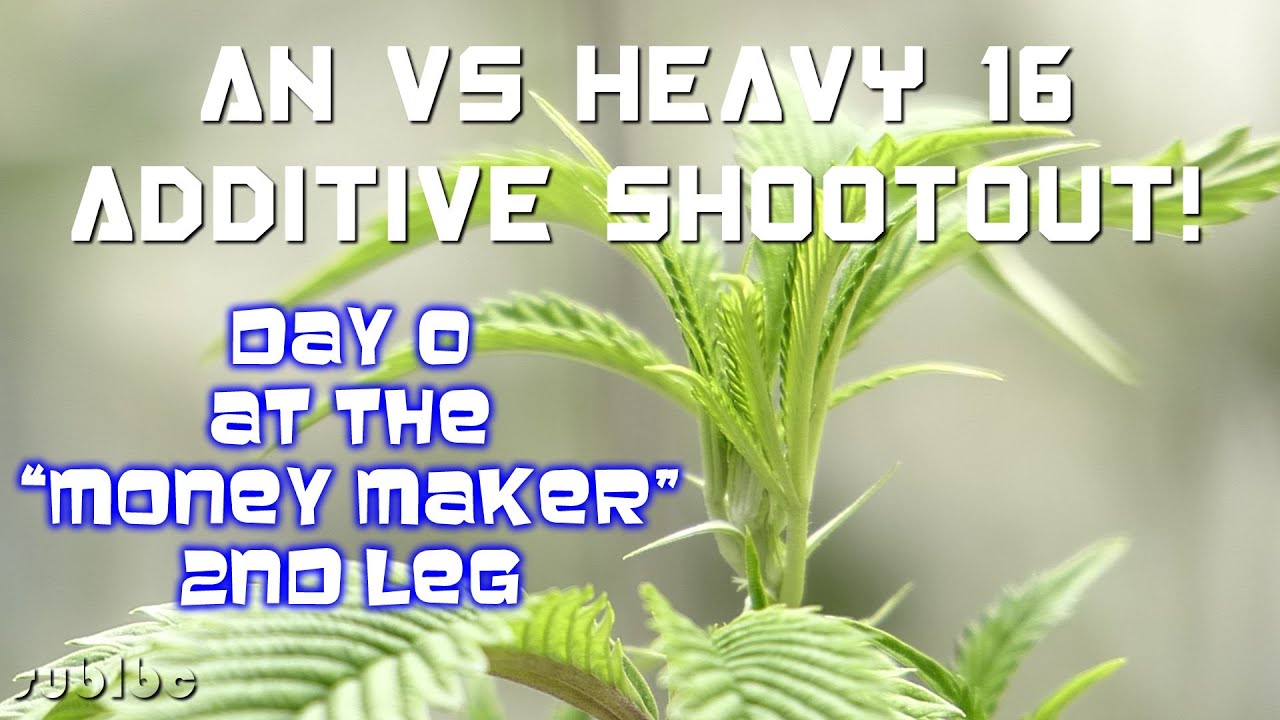 AN vs Heavy 16 Additive Shootout - Day 0 - Money Maker SFVOG 2nd Leg