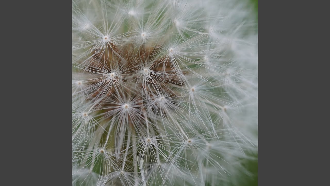 ephemeral (ambient mix)