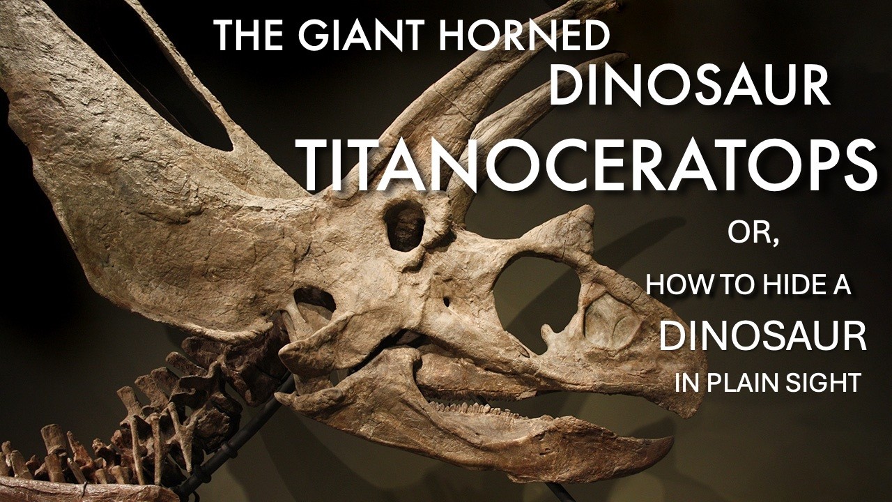 The Giant Horned Dinosaur Titanoceratops ouranos, or, How to Hide a Dinosaur in Plain Sight
