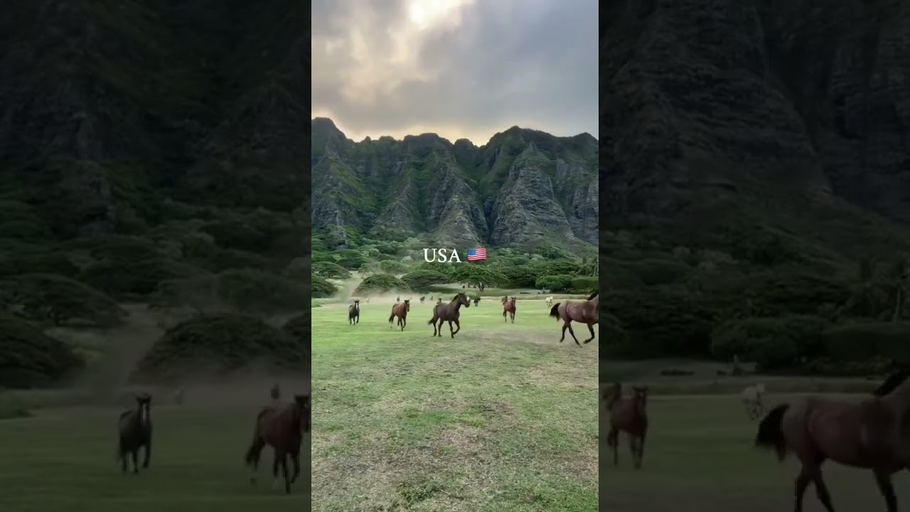 Western America🇺🇸 🎥 @westernaesthetics #conexaoamerica #usa #americavibes #westernamerica #ranchlife
