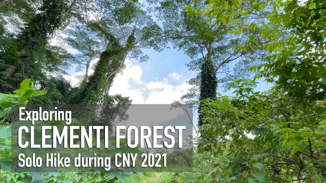 Exploring Clementi Forest - Solo Hike during CNY 2021 [4K]