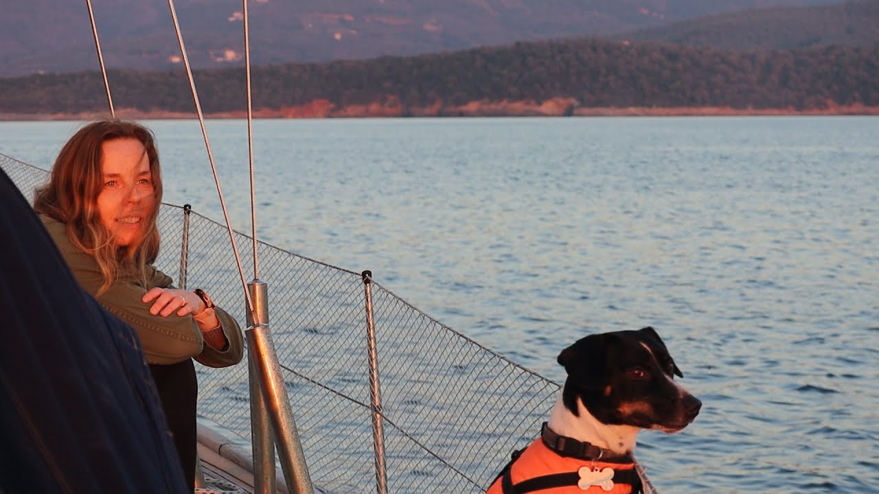 Sailing with Dolphins - Kai's dream came true!