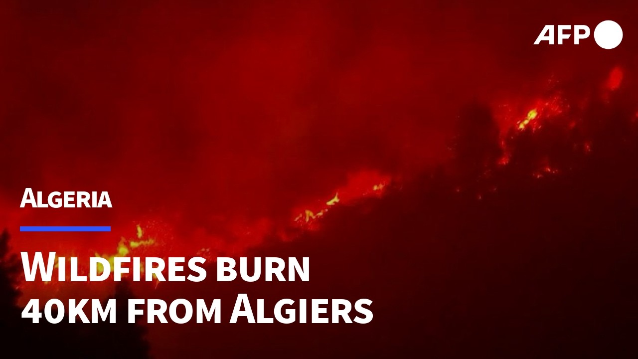 Wildfires burn near Blida, 40km south of Algiers | AFP