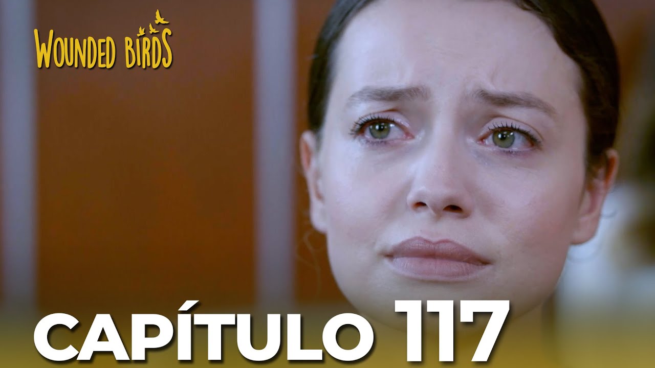 Omer Sueños Robados |  Capítulo 117