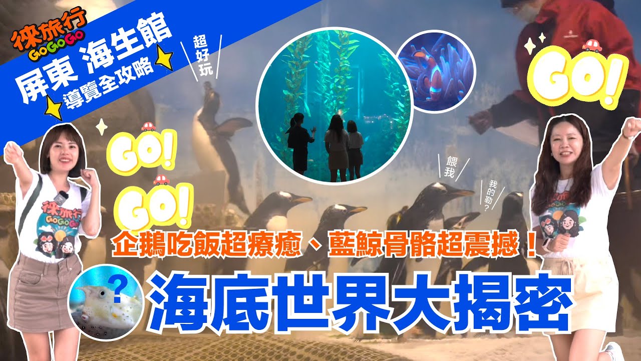 屏東海生館導覽全攻略｜企鵝吃飯超療癒、藍鯨骨骼超震撼！海底世界大揭密🐧🐋