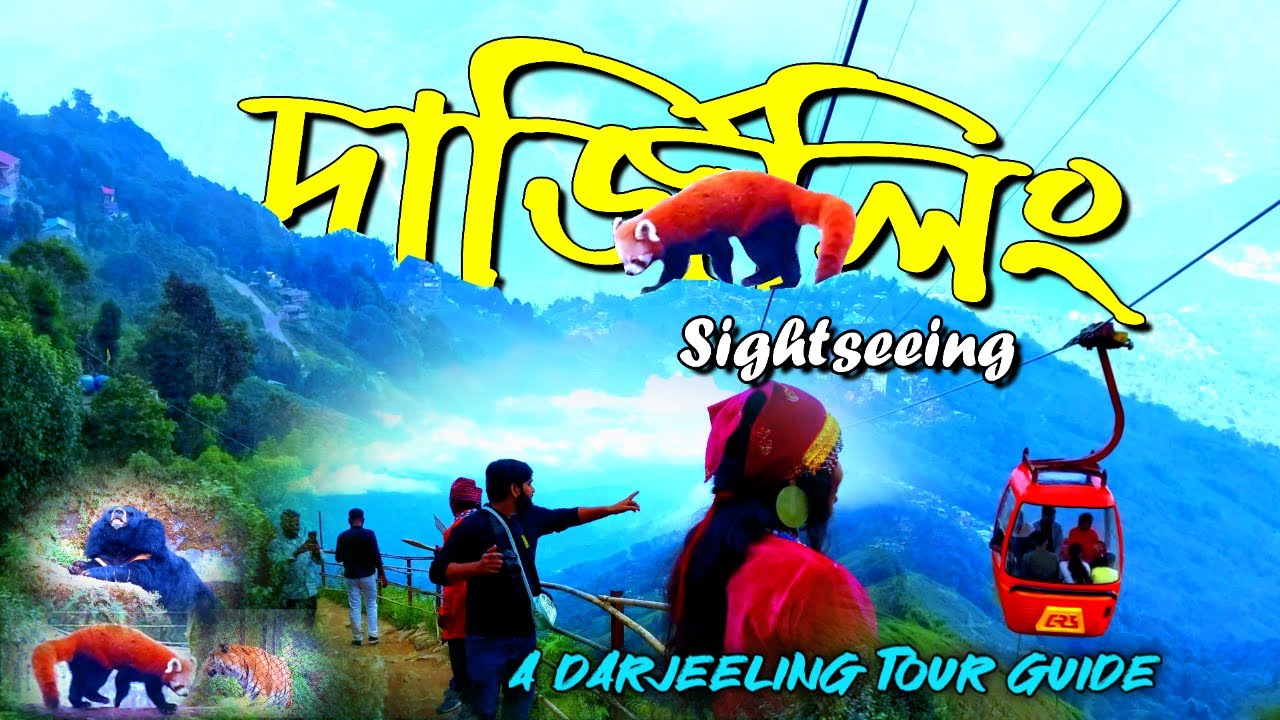 Darjeeling Tour || Darjeeling Rangeet valley Ropeway || Darjeeling Zoo|| Tea Garden