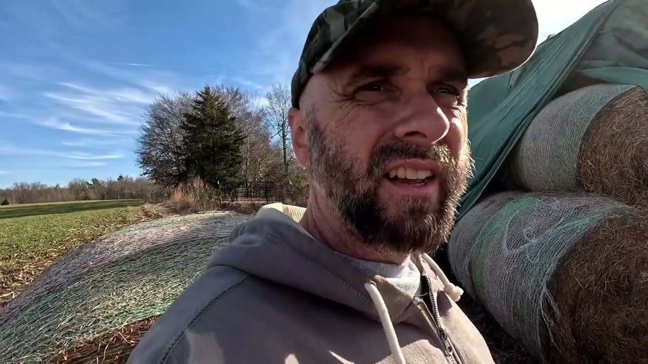 How's our hay supply looking?