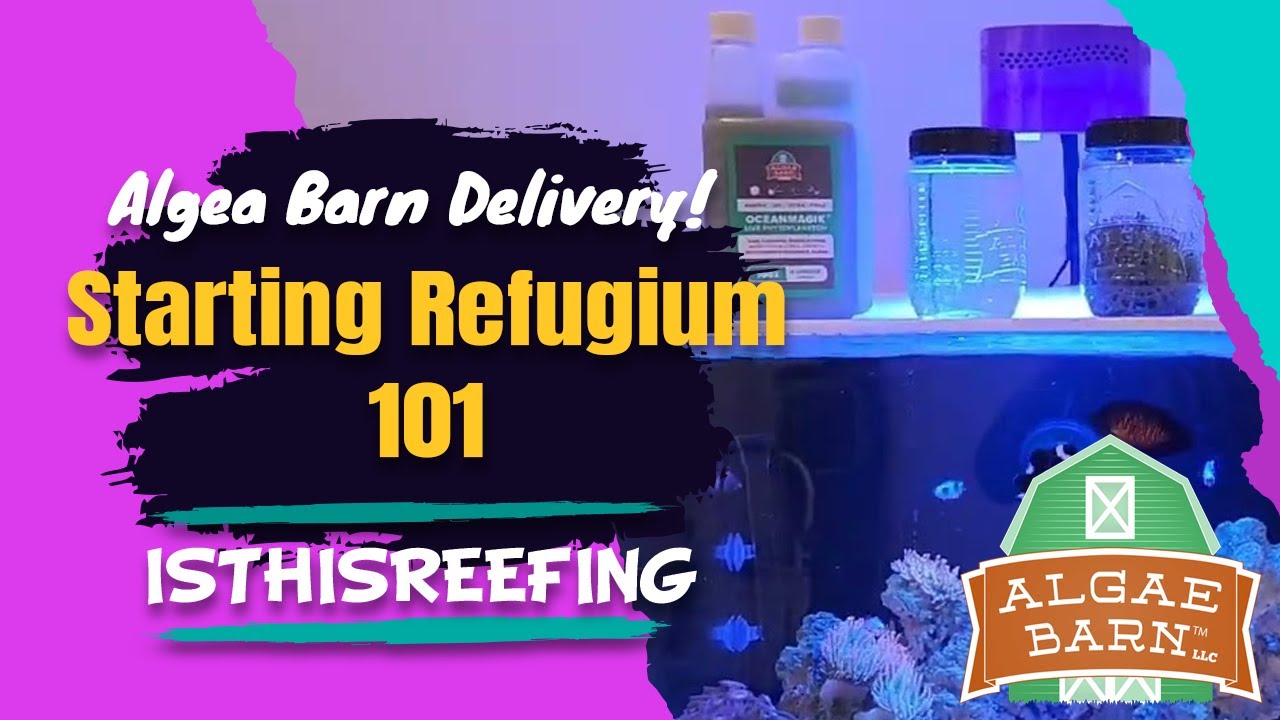 Waterbox 60.2: Algea Barn delivery! Chaeto and 5280 pods!