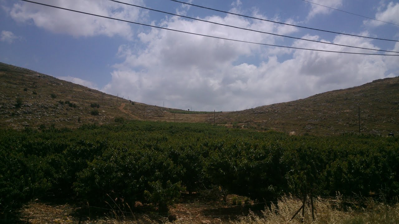 ואתם הרי ישראל - ארי שבט ViAtem Harei Yisrael- Ari Shvat (Chwat)