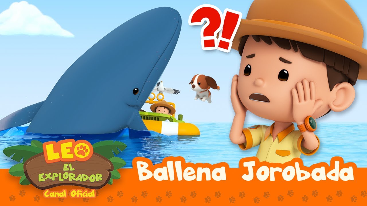 &iexcl;Ese es un animal ENORME! | Ballena Jorobada | Leo, El Explorador | Animaci&oacute;n | #compilation