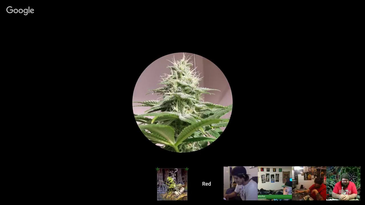 4:20 smoke sesh live with The Ben Inyas and friends!!