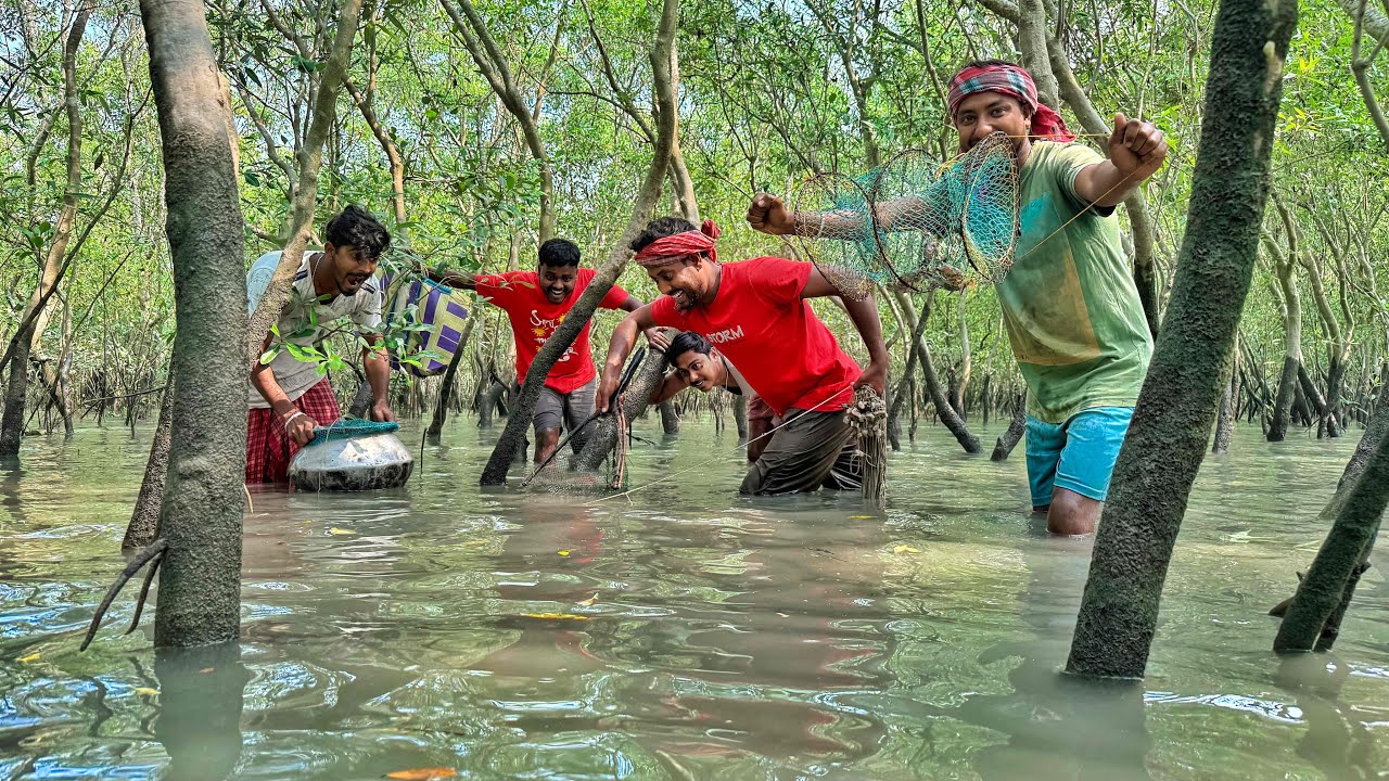 Sundarban Forest KING CRAB, catching by Tiger team!!!