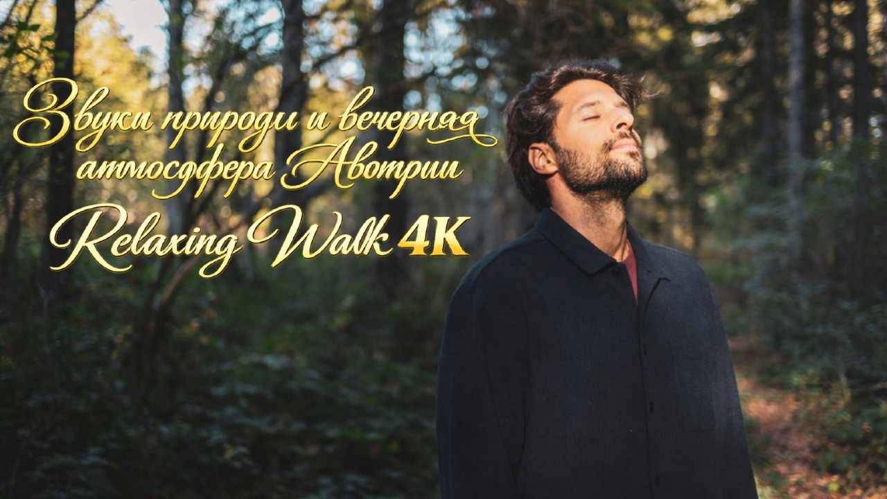 Уютная австрийская деревня вечером 🌲 прогулка по лесу