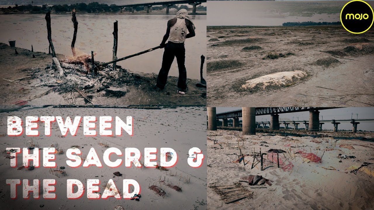 Nameless:The Corpses of Ganga |How India's Holiest River Became A Mass Graveyard |Mojo Investigation
