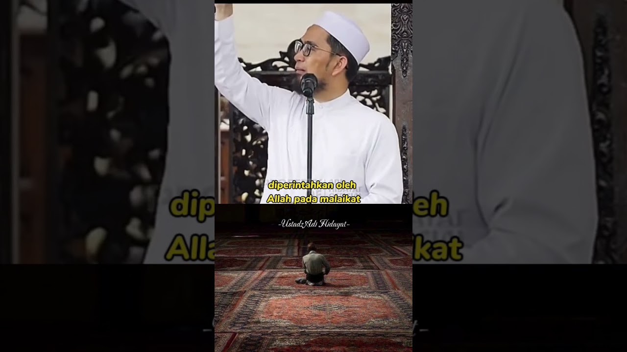 12 rokaat yg mengiringi fardhu