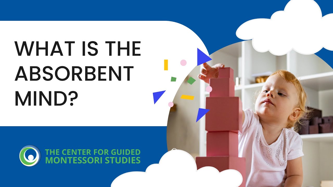 What is The Absorbent Mind? | Montessori Points of Interest