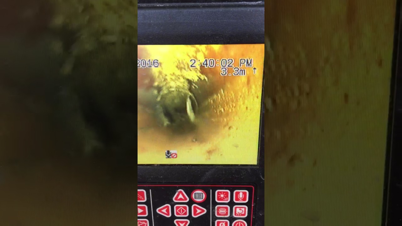 Drain Camera - CCTV Tree Roots Before Jetting
