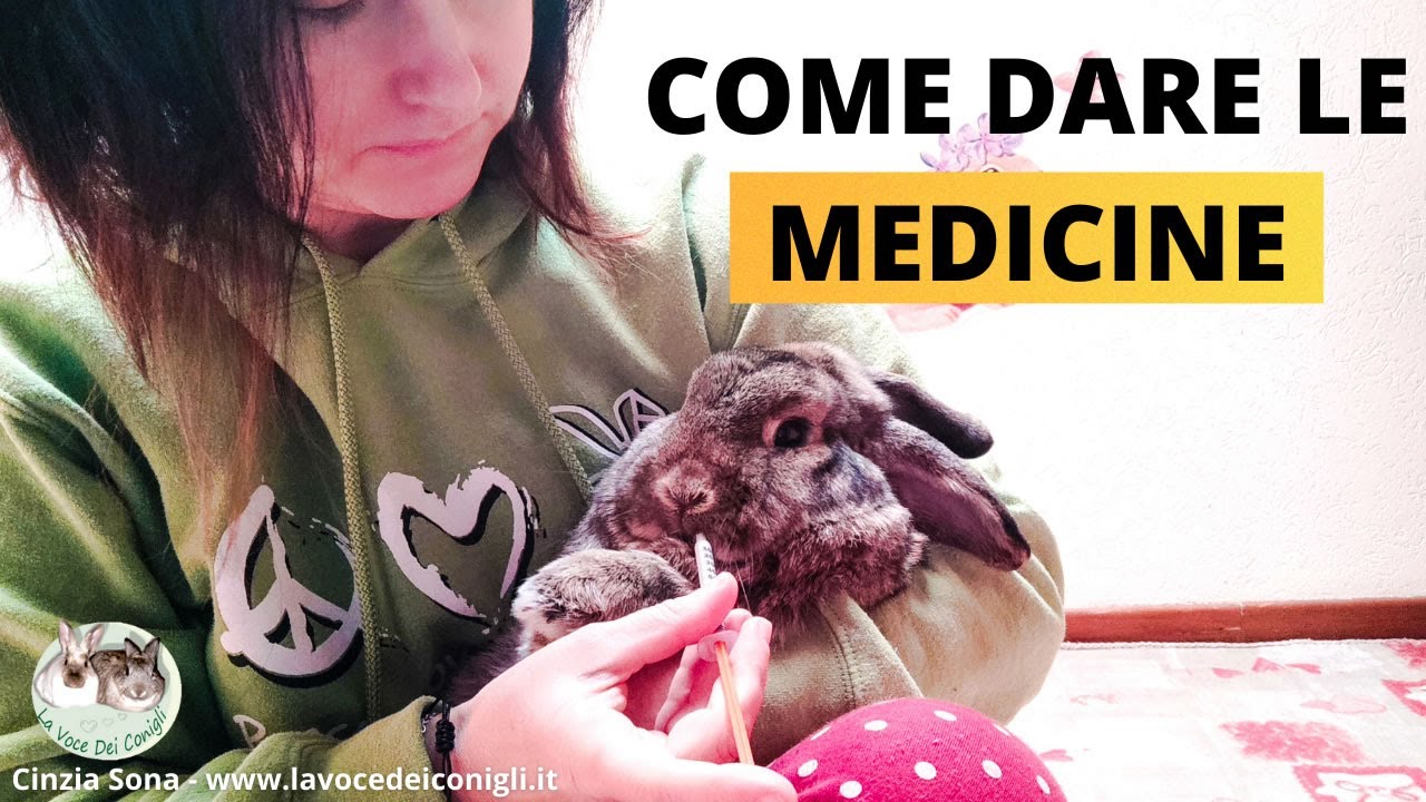 Come dare MEDICINE al coniglio