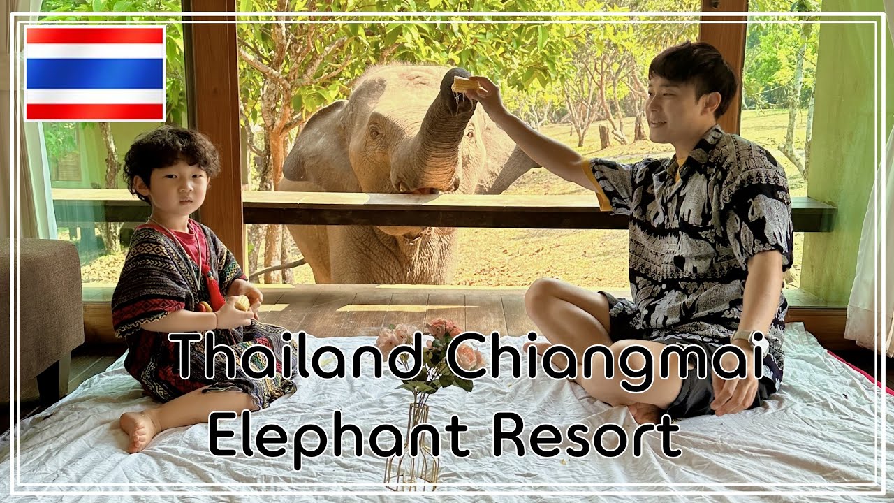 7살 예성이와 아빠의 태국 배낭여행 Part1-2. 태국 코끼리 리조트 Thailand Elephant Report (Tawan Riverside Resort)