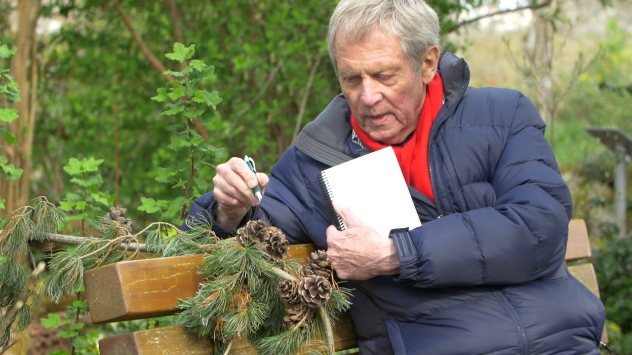 Robert Bateman: Slow Drawing - NatureSketch Club Video #4