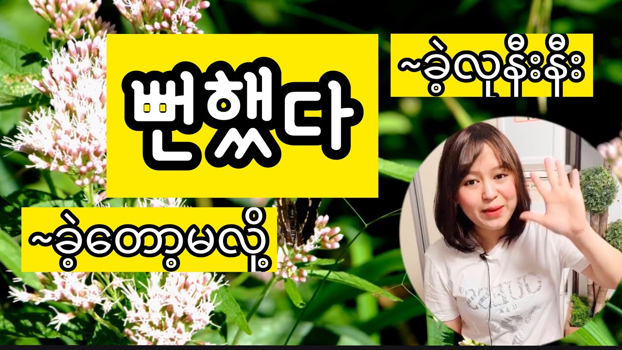 Grammar~( 을ㄹ 뻔했다)