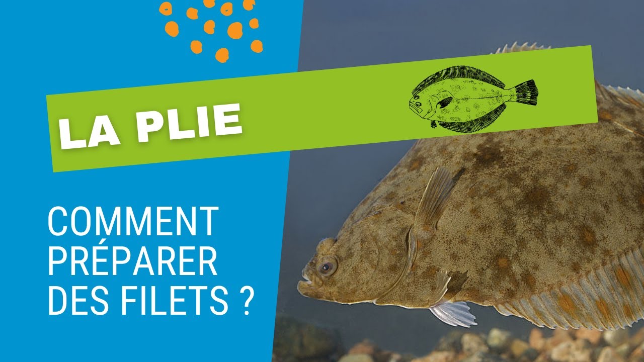 Comment préparer un filet de plie ?